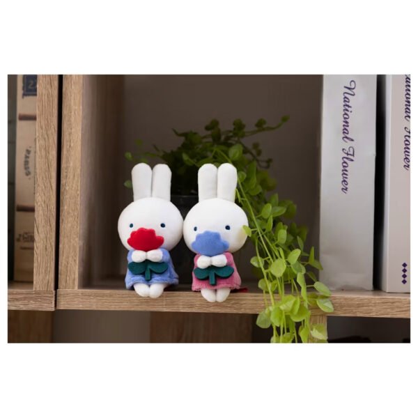 Miffy攝影公仔 - 粉紅色和藍色平批坐在書架上