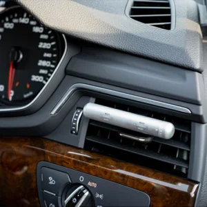 首頁 12 生活の木 車用香氛夾銀色款車內使用場景圖